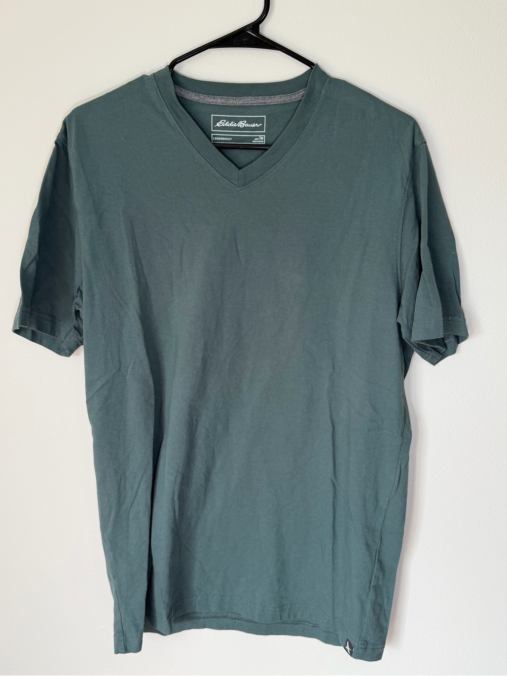 Eddie Bauer Men's V-Neck Tee in Teal Green